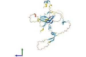 Protein Structure (PS) image for Solute Carrier Family 7, Member 6 Opposite Strand (SLC7A6OS) (AA 1-309) protein (His tag) (ABIN7545884)