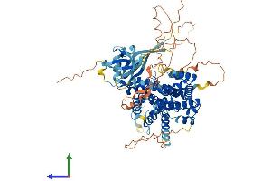 Protein Structure (PS) image for Ral Guanine Nucleotide Dissociation Stimulator-Like 3 (RGL3) (AA 1-710) protein (His tag) (ABIN7551304)