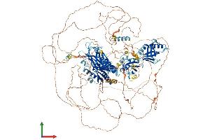 Protein Structure (PS) image for Tensin 3 (TNS3) (AA 1-1445) protein (His tag) (ABIN7555763)