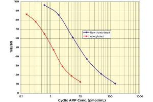 Image no. 2 for Cyclic Adenosine Monophosphate (cAMP) ELISA Kit (ABIN577670) (CAMP ELISA Kit)