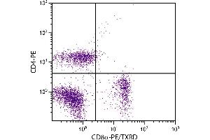 BALB/c mouse splenocytes were stained with Rat Anti-Mouse CD8α-PE/TXRD. (CD8 alpha Antikörper  (PE,Texas Red (TR)))