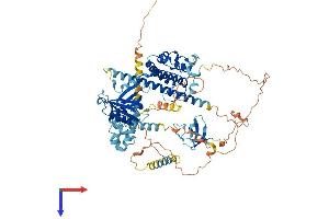 EPS8-Like 2 Protein (EPS8L2) (AA 1-729) (His tag)