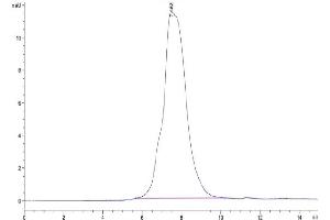 Size-exclusion chromatography-High Pressure Liquid Chromatography (SEC-HPLC) image for Matrix Metallopeptidase 9 (Gelatinase B, 92kDa Gelatinase, 92kDa Type IV Collagenase) (MMP9) (AA 20-730) protein (His tag) (ABIN7275274)