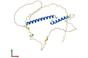 Protein Structure (PS) image for Neurogenin 2 (NEUROG2) (AA 1-272) protein (His tag) (ABIN7549853)
