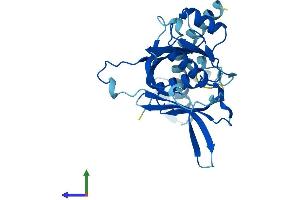 AlphaFold protein structure predicition of Human Recombinant IMP4 Protein, UniprotID Q96G21