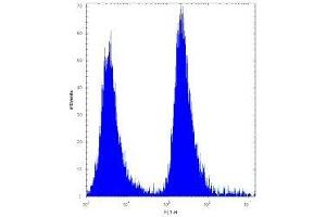 MGMT antibody flow cytometric analysis of 293 cells (right histogram) compared to a negative control (left histogram). (MGMT Antikörper  (AA 1-30))
