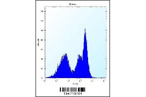 Flow cytometric analysis of Ramos cells (right histogram) compared to a negative control cell (left histogram). (ZAP70 Antikörper  (AA 276-304))