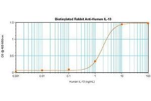 Image no. 1 for anti-Interleukin 13 (IL13) antibody (Biotin) (ABIN464961) (IL-13 Antikörper  (Biotin))