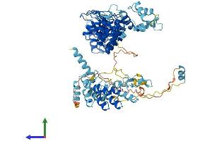 AlphaFold protein structure predicition of Human Recombinant ANKEF1 Protein, UniprotID Q9NU02