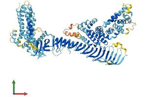 Protein Structure (PS) image for ALS2 C-terminal Like (ALS2CL) (AA 1-952) protein (His tag) (ABIN7563893)
