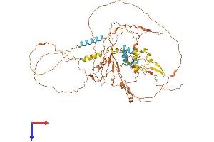FBXO46 Protein (AA 1-603) (His tag)