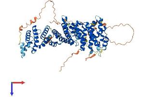 RRN3 Protein (AA 1-651) (His tag)