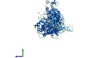 Protein Structure (PS) image for Hect Domain and RLD 4 (HERC4) (AA 1-1057) protein (His tag) (ABIN7564109)