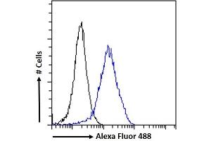 (ABIN185219) Flow cytometric analysis of paraformaldehyde fixed A431 cells (blue line), permeabilized with 0. (ACTR1A Antikörper  (C-Term))