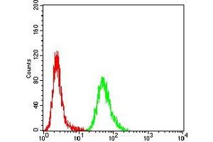 Flow Cytometry (FACS) image for anti-Activin Receptor Type I (ACRV1) (AA 21-120) antibody (ABIN5611297)