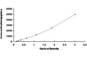 Typical standard curve (MYH8 ELISA Kit)