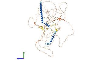 AlphaFold protein structure predicition of Human Recombinant C10orf90 Protein, UniprotID Q96M02