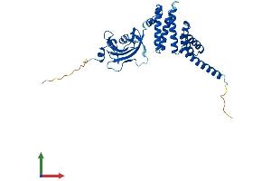AlphaFold protein structure predicition of Mouse Recombinant Fkbp6 Protein, UniprotID Q91XW8