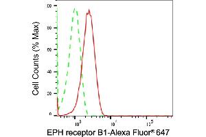 Flow cytometric analysis of EPH receptor B1 expression in HT- cells using EPH receptor B1 antibody (ABIN7798455), 1:2,000). (Rekombinanter EPH Receptor B1 Antikörper)
