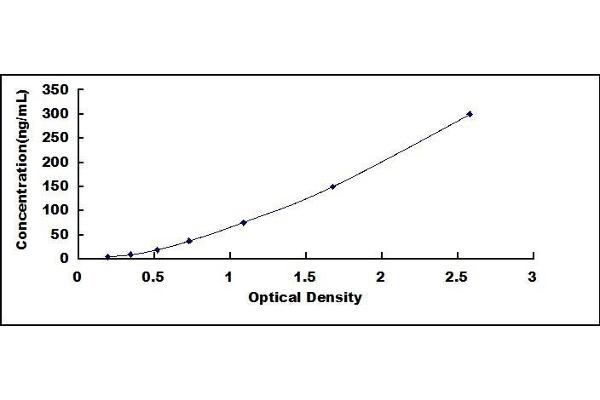 FCN1 ELISA Kit