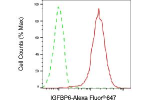 anti-Insulin-Like Growth Factor Binding Protein 6 (IGFBP6) antibody