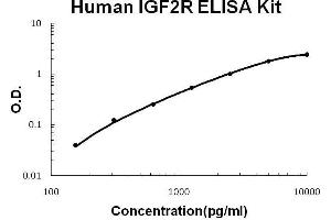 ELISA image for Insulin-Like Growth Factor 2 Receptor (IGF2R) ELISA Kit (ABIN2859333) (IGF2R ELISA Kit)