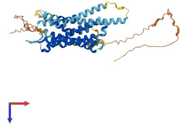 KISS1R Protein (AA 1-396) (His tag)