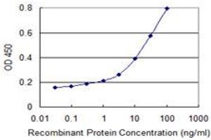 Detection limit for recombinant GST tagged VIL1 is 0. (Villin 1 Antikörper  (AA 1-77))