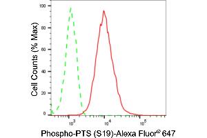 Flow cytometric analysis of Phospho-PTS (S19) expression in HepG2 cells using Phospho-PTS (S19) antibody (ABIN7797432), 1:2,000). (Rekombinanter PTS Antikörper  (pSer19))