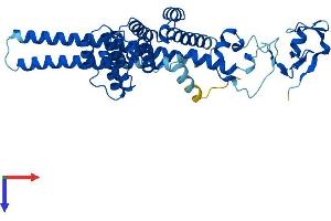 MAEA Protein (AA 1-396) (His tag)