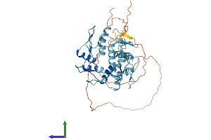 Protein Structure (PS) image for Zinc Finger Protein 620 (ZNF620) (AA 1-422) protein (His tag) (ABIN7545576)