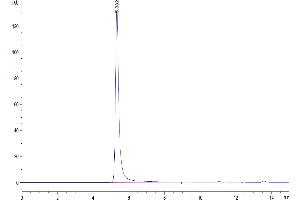 Size-exclusion chromatography-High Pressure Liquid Chromatography (SEC-HPLC) image for Membrane-Spanning 4-Domains, Subfamily A, Member 1 (MS4A1) (AA 1-297) (Active) protein-VLP (ABIN7448156)