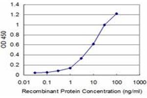Detection limit for recombinant GST tagged UHRF1 is approximately 1ng/ml as a capture antibody. (UHRF1 Antikörper  (AA 694-793))