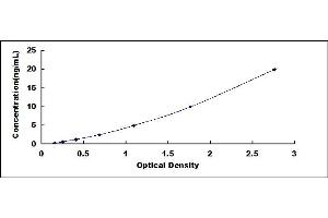 Typical standard curve (ErbB2/Her2 ELISA Kit)