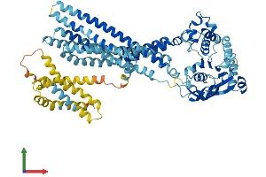 Protein Structure (PS) image for Transporter 1, ATP-Binding Cassette, Sub-Family B (MDR/TAP) (TAP1) (AA 1-724) protein (His tag) (ABIN7562964)