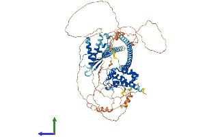 AlphaFold protein structure predicition of Mouse Recombinant Snx29 Protein, UniprotID Q9D3S3