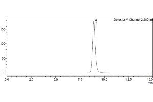 Assessment of protein purity for human Fc gamma RIIb / CD32b protein by SEC-HPLC.