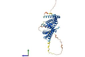 AlphaFold protein structure predicition of Human Recombinant TMEM229A Protein, UniprotID B2RXF0