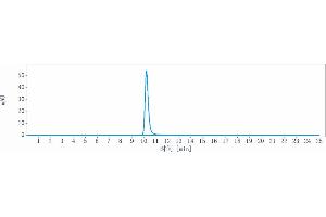 The purity of Anti-CDH3 / P-cadherin Reference Antibody (PF-03732010) is 99.