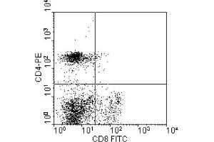 Flow Cytometry (FACS) image for anti-CD8 (CD8) antibody (FITC) (ABIN371298) (CD8 Antikörper  (FITC))