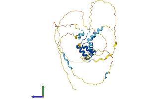 Protein Structure (PS) image for Retina and Anterior Neural Fold Homeobox (RAX) (AA 1-346) protein (His tag) (ABIN7545918)