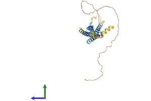 AlphaFold protein structure predicition of Human Recombinant CACNG2 Protein, UniprotID Q9Y698 (Stargazin Protein (AA 1-323) (His tag))