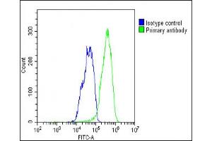 Overlay histogram showing HepG2 cells stained with (ABIN1538142 and ABIN2848639)(green line). (Selenoprotein P Antikörper  (AA 233-262))