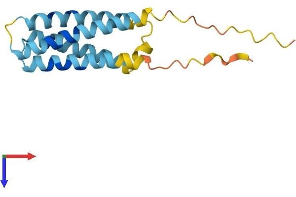CKLF Protein (AA 1-152) (His tag)