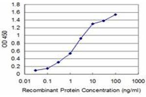 Detection limit for recombinant GST tagged BOLL is approximately 0. (BOLL Antikörper  (AA 185-283))