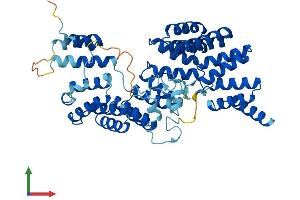 Protein Structure (PS) image for Tetratricopeptide Repeat Domain 8 (TTC8) (AA 1-515) protein (His tag) (ABIN7564740)