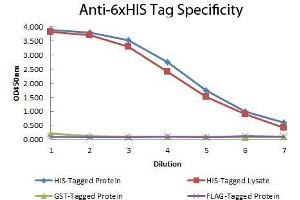 ELISA of Mouse anti-6xHIS Tag Antibody. (His Tag Antikörper)