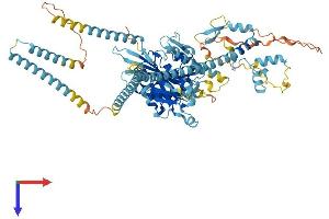 KIF3B Protein (AA 1-747) (His tag)