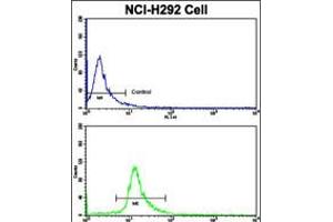 Flow cytometric analysis of NCI-H292 cells using ELP2 Antibody (bottom histogram) compared to a negative control cell (top histogram).