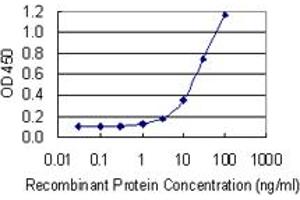 Detection limit for recombinant GST tagged POLRMT is 0. (POLRMT Antikörper  (AA 1121-1230))